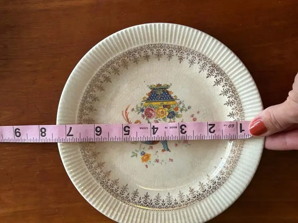 Vintage Salem China Bird of Paradise Victory Pattern Plate w/ 23 Karat Gold Trim